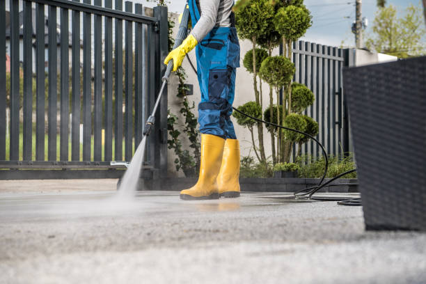 Best Roof Washing  in Barre, VT